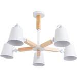 potolochnaya-lyustra-arte-lamp-a7141pl-5wh-2